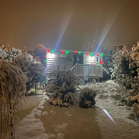 The Little John Petite Cosy Log Cabin - Sleeps 2, Great For Romantic Breaks, Couples, Single Guests, Near Sherwood Forest At Fairview Farm, Nottingham Set In 88 Acres Blidworth Exteriér fotografie